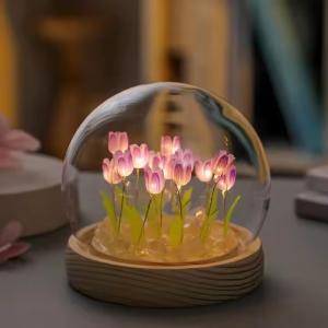 DIY Tulip night light