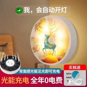 Solar Intelligent Body Induction Lamp